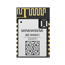 ME16WS01